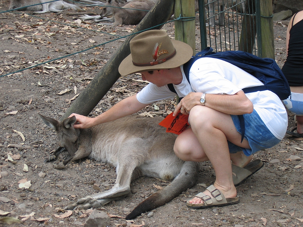 CairnsTC190 Cairns Tropical Zoo.jpg
